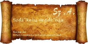 Székely Antónia névjegykártya